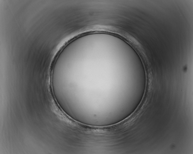 X0000116261280200911300943