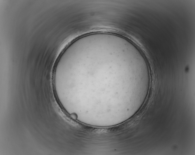 X0000116261283200911300943