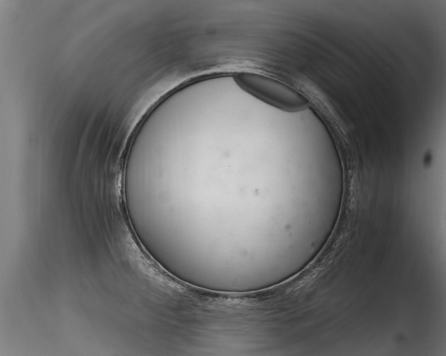 X0000116261284200911300943