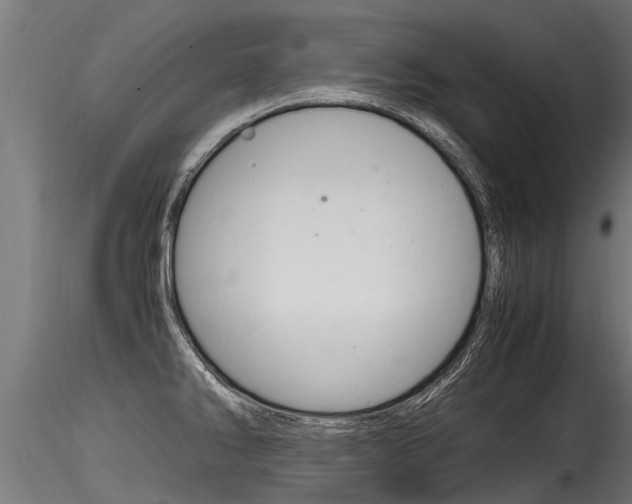 X0000116261286200911300943