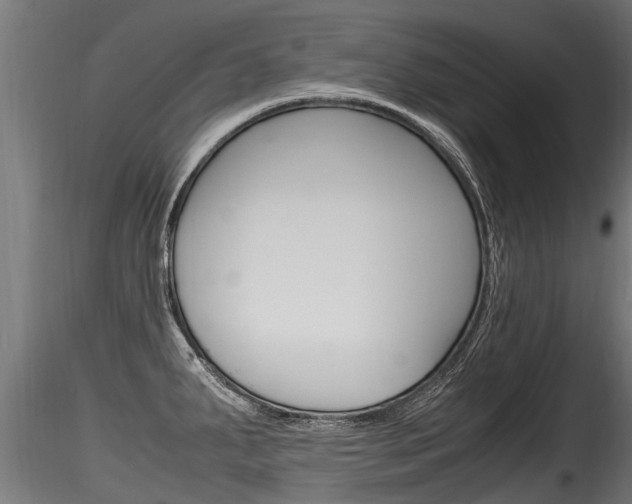 X0000116261287200911300943