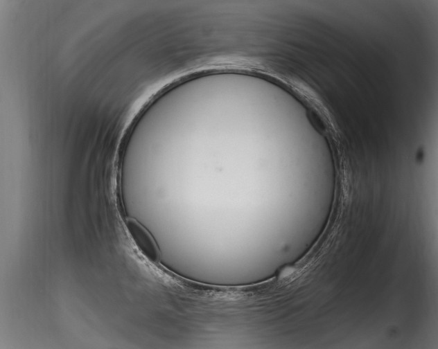 X0000116261288200911300943