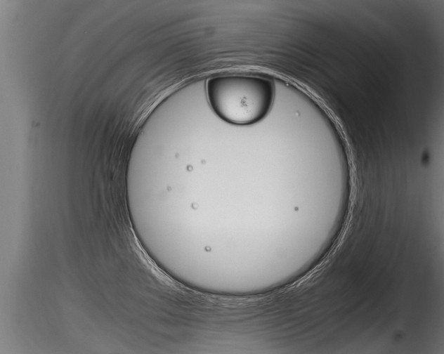 X0000116261289200911300943