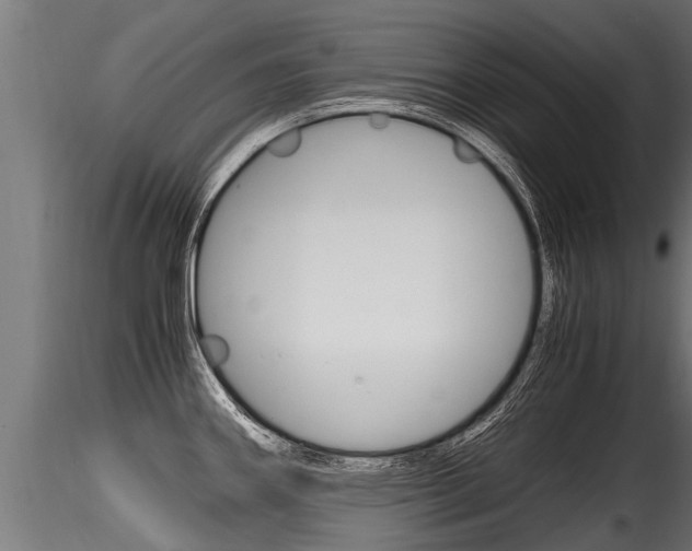 X0000116261290200911300943