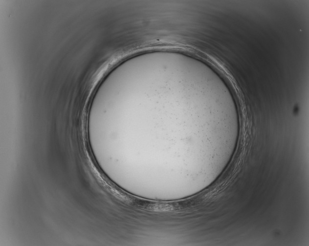 X0000116261291200911300943