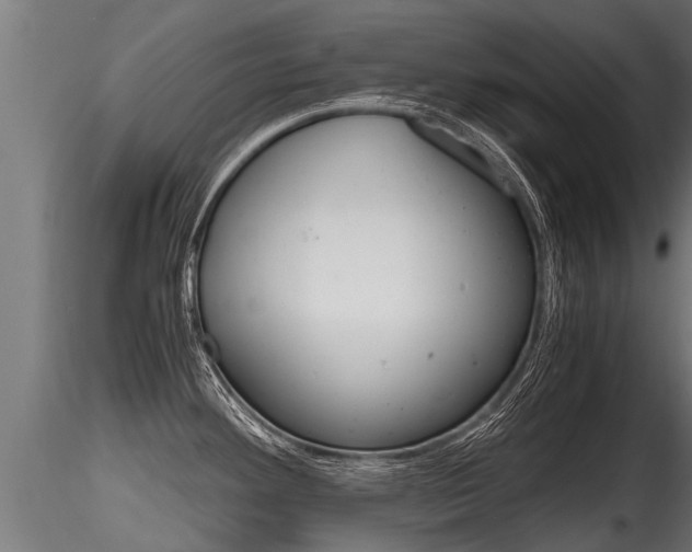 X0000116261292200911300943