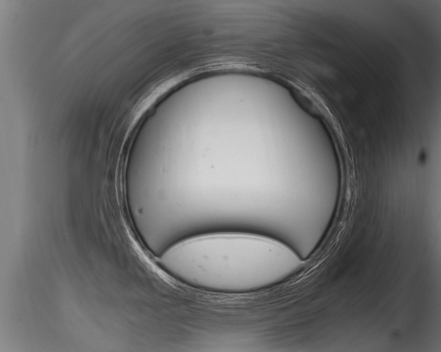 X0000116261293200911300943