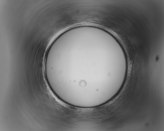 X0000116261294200911300943