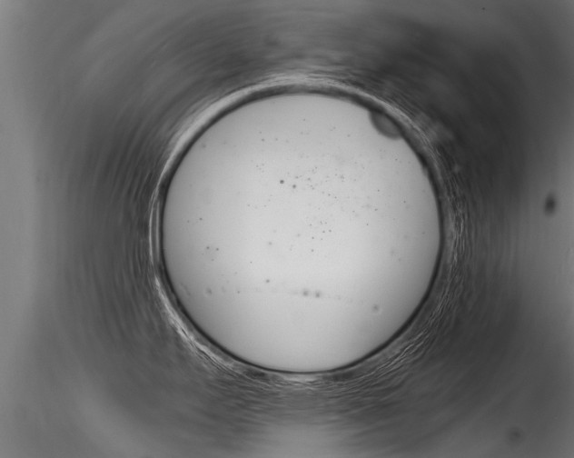 X0000116261295200911300943