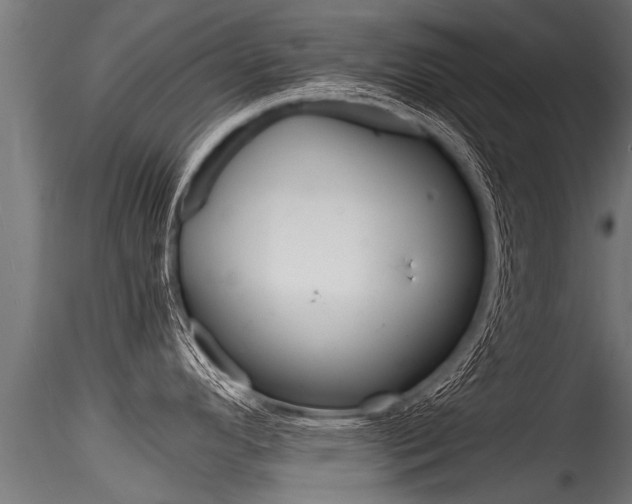 X0000116261296200911300943