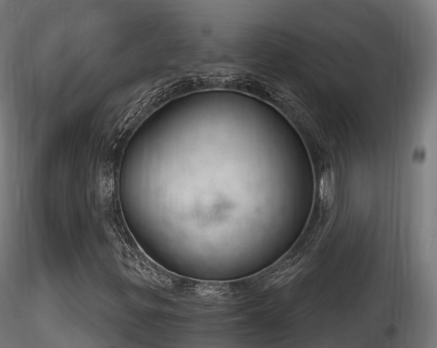 X0000116261299200911300943