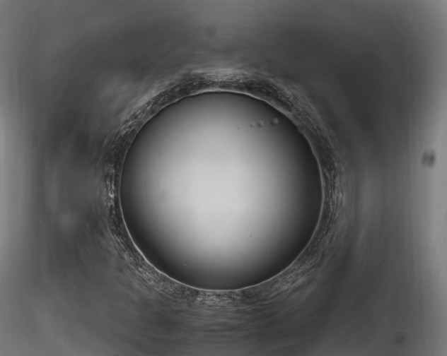 X0000116261301200911300943