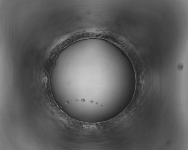 X0000116261302200911300943