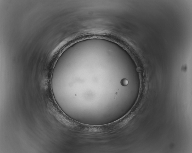 X0000116261306200911300943