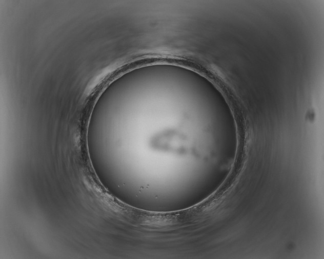 X0000116261307200911300943