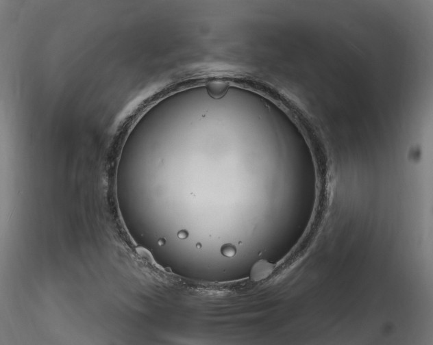 X0000116261309200911300943