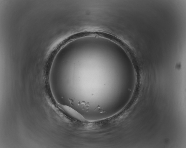 X0000116261311200911300943