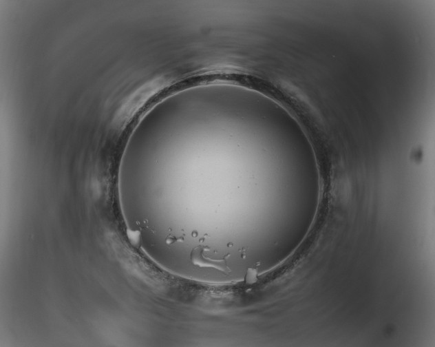 X0000116261313200911300943