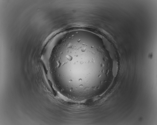 X0000116261314200911300943