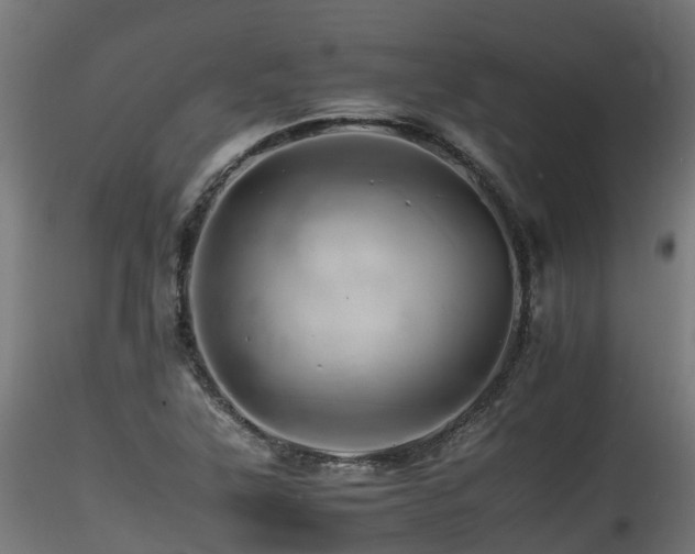 X0000116261315200911300943