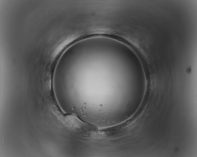 X0000116261317200911300943