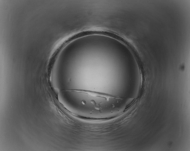 X0000116261319200911300943