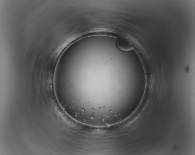 X0000116261321200911300943