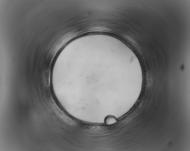X0000116261322200911300943