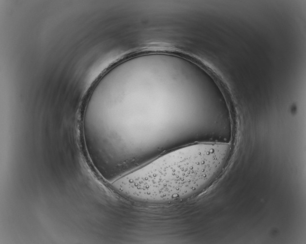 X0000116261325200911300943