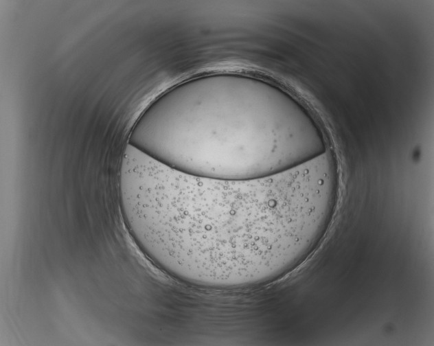 X0000116261329200911300943