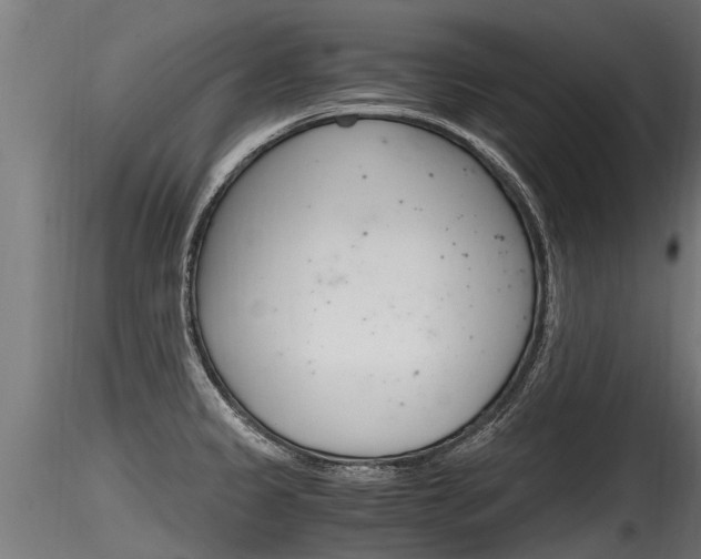 X0000116261333200911300943