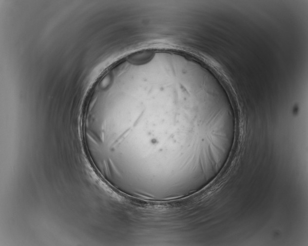 X0000116261334200911300943