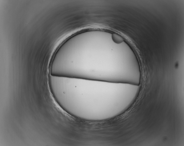 X0000116261335200911300943
