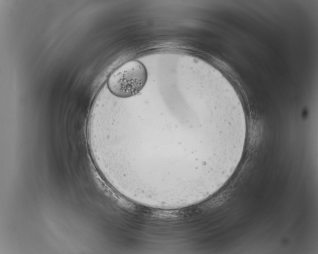 X0000116261338200911300943
