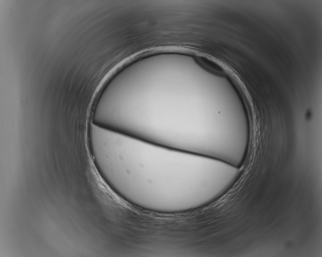 X0000116261341200911300943