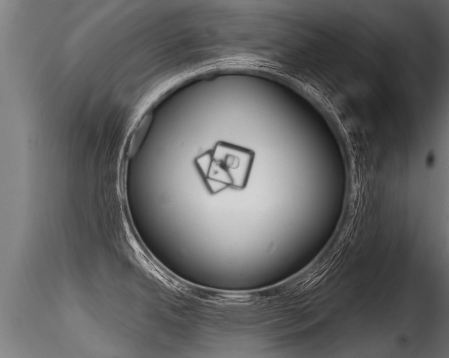 X0000116261342200911300943