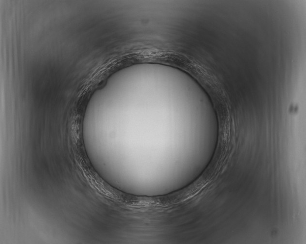 X0000116261346200911300942
