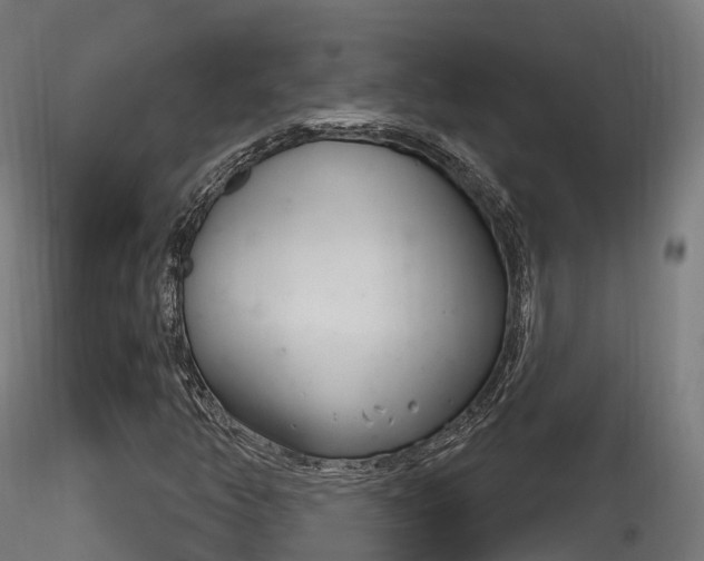 X0000116261350200911300942