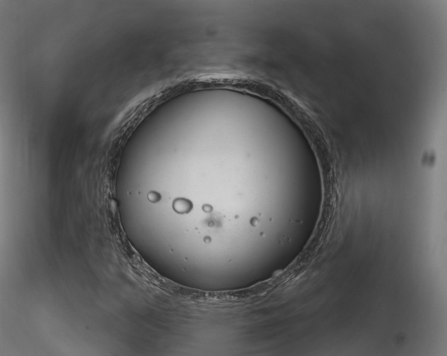X0000116261351200911300942