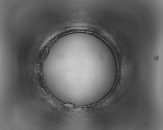 X0000116261352200911300942