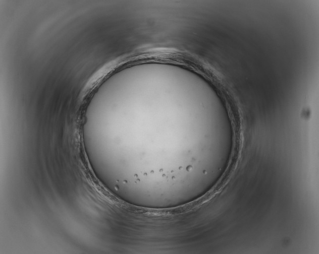 X0000116261354200911300942