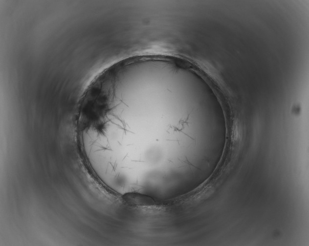 X0000116261356200911300942