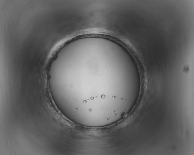X0000116261358200911300942