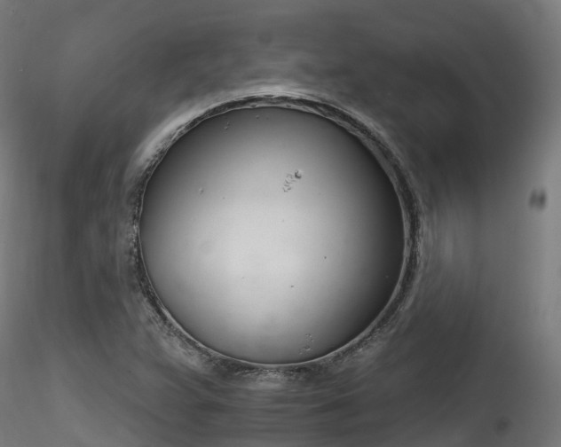 X0000116261359200911300942