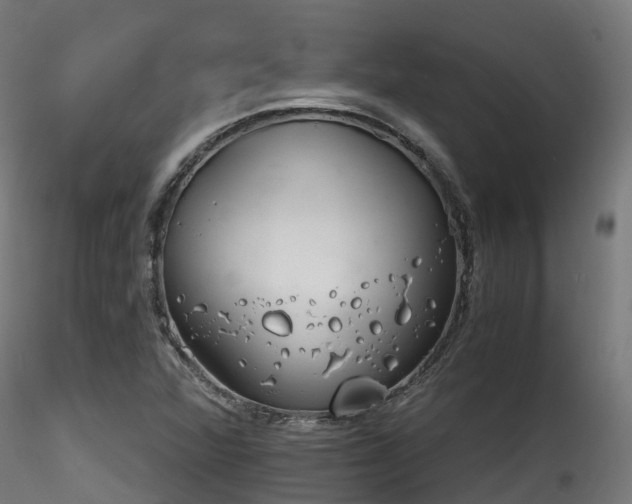 X0000116261360200911300942