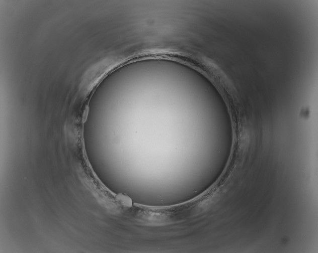 X0000116261361200911300942