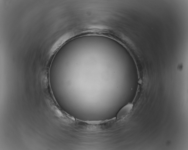 X0000116261362200911300942