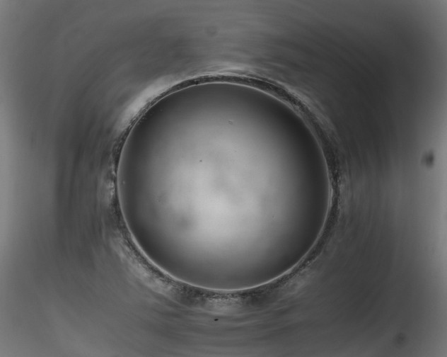 X0000116261363200911300942