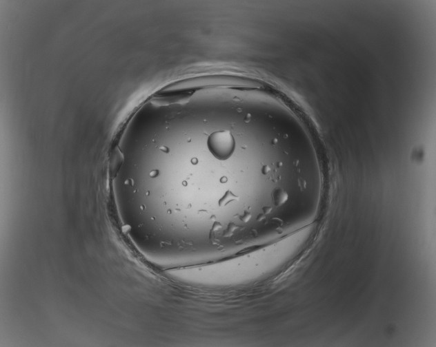 X0000116261365200911300942