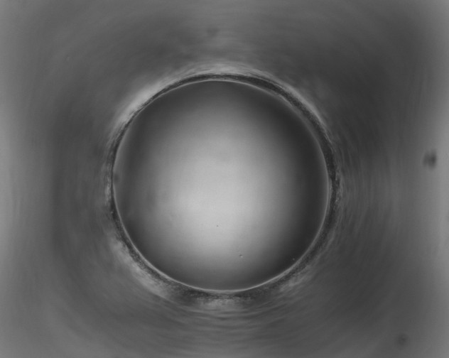 X0000116261367200911300942